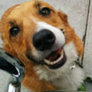 Meet your Posher, Sam